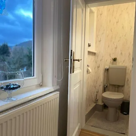 Moderne In Goslars Altstadt